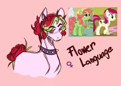 Size: 1000x709 | Tagged: safe, artist:orphicswan, derpibooru import, oc, oc:flower language, earth pony, chaoticverse, image, parent:roseluck, parent:tree hugger, png, solo