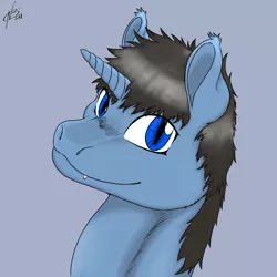 Size: 1200x1200 | Tagged: safe, artist:hadoukishi, derpibooru import, oc, unofficial characters only, pony, unicorn, bust, digital art, horn, image, looking at you, male, png, portrait, simple background, solo, stallion