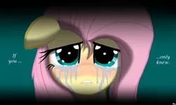 Size: 1711x1027 | Tagged: safe, artist:lennondash, derpibooru import, fluttershy, pegasus, pony, crying, floppy ears, image, looking at you, png, sad, shadow, simple background, talking to viewer, teary eyes, text