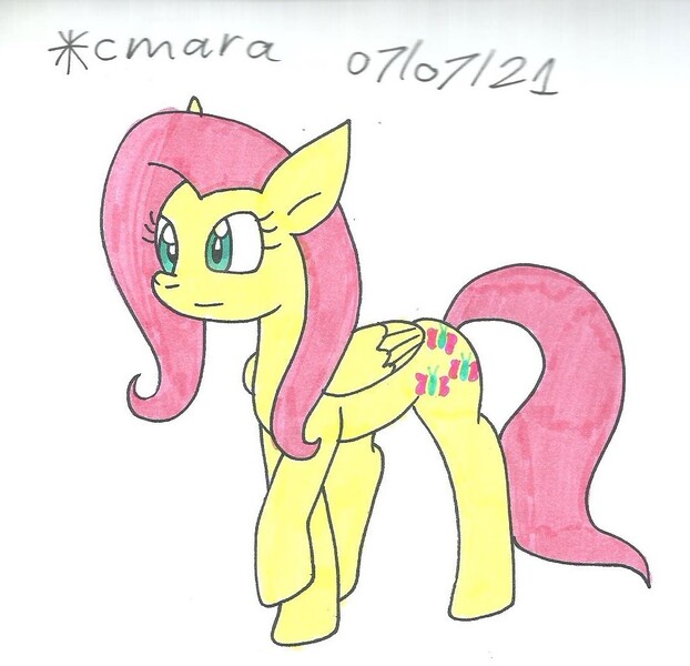 Size: 1092x1053 | Tagged: safe, artist:cmara, derpibooru import, fluttershy, pegasus, pony, female, image, jpeg, mare, raised hoof, simple background, solo, traditional art, white background