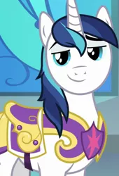 Size: 735x1080 | Tagged: safe, derpibooru import, screencap, shining armor, pony, unicorn, season 9, sparkle's seven, spoiler:s09, cropped, image, male, png, solo, stallion