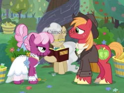 Size: 1024x768 | Tagged: safe, artist:acorntree144, derpibooru import, edit, edited screencap, screencap, big macintosh, cheerilee, mayor mare, earth pony, pony, the big mac question, alternate timeline, apple, apple tree, character swap, cheerimac, clothes, cowboy hat, dress, female, food, hat, image, intrusive watermark, jacket, looking at each other, male, mare, marriage, pear, pear tree, png, shipping, stallion, straight, tree, watermark, wedding, wedding dress