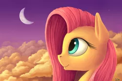 Size: 2500x1660 | Tagged: safe, alternate version, artist:ivg89, derpibooru import, fluttershy, pegasus, pony, cloud, crescent moon, cute, female, image, moon, png, profile, revised, shyabetes, solo