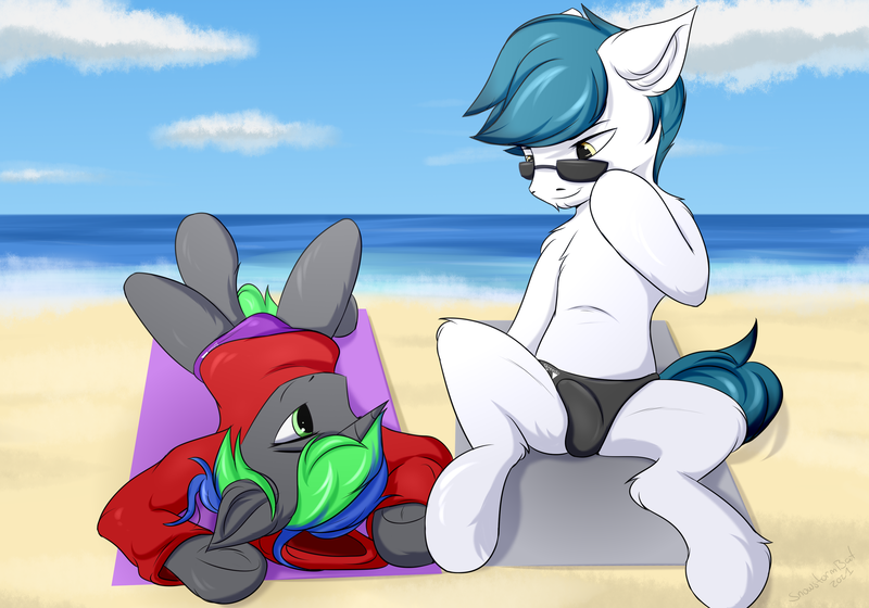 Size: 3000x2100 | Tagged: questionable, artist:snowstormbat, derpibooru import, pony, beach, clothes, crotch bulge, hoodie, image, male, males only, my little pony, png, reasonably sized genitals, sand, sitting, speedo, stallion, sunglasses, swimsuit, towel, water