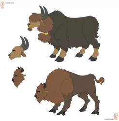 Size: 3580x3640 | Tagged: safe, artist:anelaponela, derpibooru import, bison, buffalo, yak, beard, cloven hooves, facial hair, fangs, horn, image, leonine tail, male, png, redesign, simple background, travelersverse