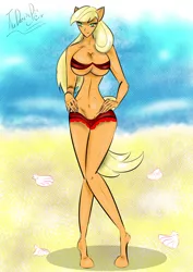 Size: 1000x1416 | Tagged: suggestive, artist:thedansingpig, derpibooru import, applejack, anthro, earth pony, unguligrade anthro, beach, bikini, breasts, cleavage, clothes, female, hand on hip, image, jpeg, outdoors, signature, solo, solo female, striptease, swimsuit