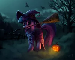 Size: 2000x1600 | Tagged: safe, artist:lollipony, edit, unauthorized edit, twilight sparkle, bird, crow, pony, unicorn, :3, broom, clothes, costume, cute, dark, dress, female, fence, fog, forest, halloween, halloween costume, hat, holiday, horn, image, jack-o-lantern, jpeg, looking at you, mare, mouth hold, night, nightmare night, nightmare night costume, nom, pose, pumpkin, raised hoof, raised leg, robes, scenery, silhouette, smiling, solo, spoopy, standing, tree, twiabetes, unicorn twilight, wingless, wingless edit, witch, witch hat