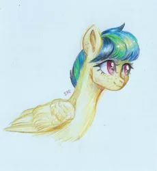 Size: 917x998 | Tagged: safe, artist:ske, derpibooru import, oc, oc:apogee, pegasus, pony, image, jpeg, pencil drawing, solo, traditional art