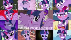 Size: 1280x720 | Tagged: safe, derpibooru import, edit, edited screencap, editor:quoterific, screencap, twilight sparkle, twilight sparkle (alicorn), alicorn, pony, unicorn, a trivial pursuit, bats!, best gift ever, look before you sleep, made in manehattan, tanks for the memories, blushing, close-up, cute, eye shimmer, faic, image, png, pudding face, this is trivia trot, trivia trot, twiabetes, unicorn twilight