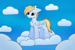 Size: 1920x1280 | Tagged: safe, artist:keupoz, derpibooru import, oc, oc:terncode, unofficial characters only, pegasus, cloud, commission, image, on a cloud, pegasus oc, png, sky, standing on a cloud, wings