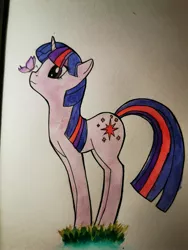 Size: 2736x3648 | Tagged: safe, artist:sad-moustache, derpibooru import, twilight sparkle, butterfly, insect, pony, unicorn, butterfly on nose, grass, image, insect on nose, jpeg, long legs, solo, traditional art