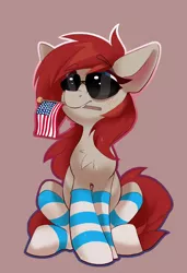 Size: 1398x2047 | Tagged: source needed, useless source url, safe, artist:jazzynsfw, derpibooru import, oc, oc:ponepony, unofficial characters only, earth pony, american flag, chest fluff, clothes, female, flag, image, mouth hold, png, socks, striped socks, sunglasses