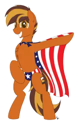 Size: 1900x3000 | Tagged: suggestive, artist:ponynamedmixtape, derpibooru import, oc, oc:mixtape, unofficial characters only, earth pony, american flag, bipedal, chest fluff, clothes, flag, image, male, png, simple background, solo, solo male, speedo, swimsuit, transparent background