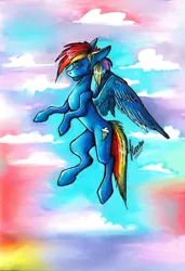 Size: 1480x2160 | Tagged: safe, artist:stirren, derpibooru import, rainbow dash, pegasus, pony, flying, image, jpeg, sky, solo, traditional art