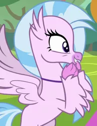 Size: 822x1064 | Tagged: safe, derpibooru import, screencap, silverstream, classical hippogriff, hippogriff, school daze, season 8, spoiler:s08, cropped, cute, diastreamies, female, image, png, solo