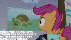 Size: 1280x720 | Tagged: safe, derpibooru import, edit, edited screencap, editor:quoterific, screencap, scootaloo, pegasus, pony, turtle, parental glideance, season 7, bag, camera, female, filly, image, jpeg, open mouth, poster, saddle bag, solo, spread wings, wings, written equestrian