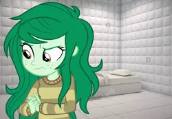 Size: 1283x890 | Tagged: safe, derpibooru import, wallflower blush, equestria girls, angry, clothes, female, image, insane asylum, jpeg, padded cell, solo, stock image, sweater