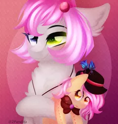 Size: 2634x2750 | Tagged: safe, artist:2pandita, derpibooru import, oc, oc:pandita, oc:tender mist, unofficial characters only, pegasus, pony, female, heterochromia, image, mare, plushie, png