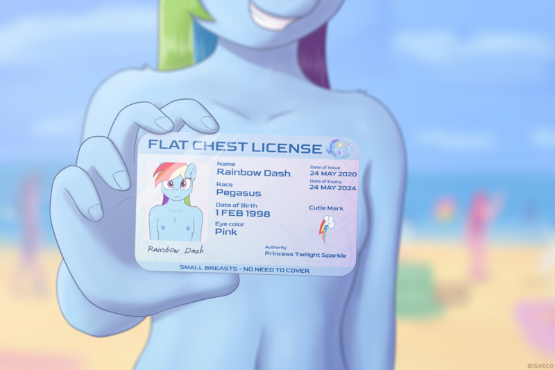 Size: 3000x2000 | Tagged: questionable, artist:irisarco, derpibooru import, rainbow dash, anthro, beach, belly button, blue nipples, blurry background, breasts, casual nudity, chest fluff, clothes, cloud, confident, confident nude exposure, cutie mark, day, exhibitionism, female, grin, high res, id card, image, license, looking at you, male swimwear challenge, nipples, no shame, nudity, outdoors, partial nudity, petite, png, public nudity, sand, shoulder fluff, signature, sky, small breasts, smiling, smiling at you, standing, strategically covered, summer, topless, water, watermark