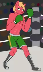 Size: 3492x5820 | Tagged: safe, artist:aaron amethyst, derpibooru import, big macintosh, anthro, audience, boxing, boxing gloves, boxing ring, boxing shorts, clothes, cosplay, costume, image, little mac (punch out), looking at you, male, png, shoes, shorts, solo, sports, sweat