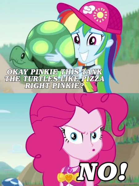 Size: 1717x2284 | Tagged: safe, derpibooru import, edit, edited screencap, screencap, pinkie pie, rainbow dash, human, tortoise, turtle, aww... baby turtles, equestria girls, equestria girls series, friendship math, angry, angry pinkie pie, clothes, image, jpeg, no, pinkie pie is not amused, pinkie rage, swimsuit, unamused