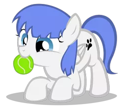 Size: 1940x1720 | Tagged: safe, artist:strategypony, derpibooru import, oc, oc:snow pup, unofficial characters only, pegasus, pony, ball, behaving like a dog, cute, female, filly, foal, image, nom, png, simple background, tennis ball
