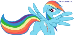 Size: 8000x3782 | Tagged: safe, artist:laszlvfx, derpibooru import, edit, edited edit, vector edit, rainbow dash, pony, absurd resolution, ass, bedroom eyes, butt, buttcheeks, cutie mark, featureless crotch, female, high res, image, irritated, looking back, mare, plot, png, rainbow dash is not amused, raised eyebrow, sexy, simple background, spread wings, stupid sexy rainbow dash, tail, text, transparent background, unamused, vector, wings