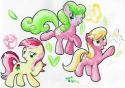 Size: 1280x894 | Tagged: safe, artist:michiito, derpibooru import, daisy, flower wishes, lily, lily valley, roseluck, earth pony, pony, female, flower, flower in hair, flower trio, image, jpeg, mare, one eye closed, raised leg, traditional art, underhoof