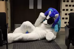 Size: 960x640 | Tagged: safe, derpibooru import, vinyl scratch, human, clothes, cosplay, costume, fursuit, image, irl, irl human, jpeg, lying down, photo, solo, vinyl's glasses
