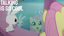 Size: 1280x720 | Tagged: safe, derpibooru import, edit, edited screencap, editor:quoterific, screencap, angel bunny, fluttershy, pegasus, pony, rabbit, season 9, she talks to angel, spoiler:s09, angelbetes, animal, body swap, cute, duo, female, image, jpeg, male, mare, open mouth, role reversal, shyabetes, smiling, tongue out