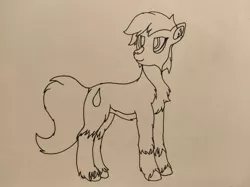 Size: 1446x1080 | Tagged: safe, artist:autumnsfurart, derpibooru import, oc, unofficial characters only, earth pony, pony, chest fluff, earth pony oc, image, jpeg, looking back, solo, traditional art, unshorn fetlocks