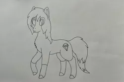 Size: 3402x2249 | Tagged: safe, artist:autumnsfurart, derpibooru import, oc, oc:glitter stone, unofficial characters only, earth pony, pony, earth pony oc, female, image, jpeg, lineart, mare, raised hoof, solo, traditional art