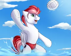 Size: 2800x2200 | Tagged: safe, artist:snowstormbat, derpibooru import, oc, oc:swift apex, pegasus, pony, clothes, cloud, image, jumping, male, png, smiling, solo, speedo, stallion, swimsuit, water