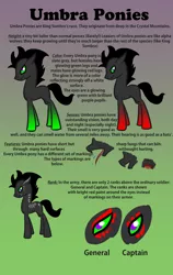 Size: 1900x3000 | Tagged: safe, artist:joan-grace, derpibooru import, oc, unofficial characters only, pony, umbrum, image, png, reference sheet, tongue out