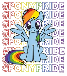 Size: 800x900 | Tagged: safe, derpibooru import, official, rainbow dash, pegasus, pony, design, female, g4, hashtag, image, mare, merchandise, png, pride, rainbow, shirt design, simple background, solo, text, transparent background