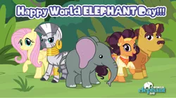 Size: 5360x3009 | Tagged: safe, artist:andoanimalia, derpibooru import, coriander cumin, fluttershy, muriel, saffron masala, zecora, elephant, pegasus, unicorn, zebra, female, image, male, png, sweet feather sanctuary, world elephant day