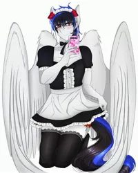 Size: 3277x4096 | Tagged: safe, artist:carbutt69, derpibooru import, oc, oc:snow storm, anthro, pegasus, pony, apron, blushing, bow, clothes, crossdressing, femboy, flower, image, jpeg, kneesocks, lace, maid, male, multicolored hair, pegasus oc, phone, red eyes, rose, selfie, short mane, socks, stallion, white apron, wings