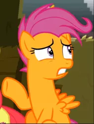 Size: 438x575 | Tagged: safe, derpibooru import, screencap, scootaloo, pegasus, pony, growing up is hard to do, cropped, image, older, older scootaloo, png, scared, sitting, solo