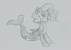 Size: 2048x1453 | Tagged: safe, artist:mellodillo, derpibooru import, oc, unofficial characters only, orca, orca pony, original species, pony, grayscale, image, jpeg, monochrome, solo, traditional art