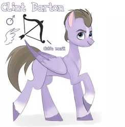 Size: 1569x1600 | Tagged: safe, derpibooru import, ponified, pegasus, pony, clint barton, g5, hawkeye, image, jpeg, male, marvel, reference, solo, stallion, the avengers