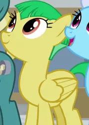 Size: 584x815 | Tagged: safe, derpibooru import, screencap, linky, shoeshine, wintergreen, earth pony, pegasus, pony, friendship university, season 8, spoiler:s08, background pony, cropped, female, image, las pegasus resident, mare, png