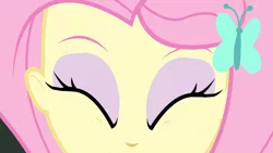 Size: 3410x1920 | Tagged: safe, derpibooru import, screencap, fluttershy, equestria girls, equestria girls series, fluttershy's butterflies, close-up, cute, eyes closed, female, fluttershy's butterflies: rainbow dash, hairpin, image, jpeg, shyabetes, solo