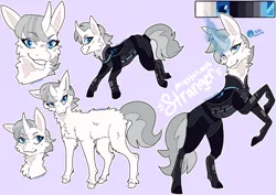 Size: 1613x1142 | Tagged: safe, artist:vapyrwaves, derpibooru import, oc, oc:mysterious stranger, unofficial characters only, unicorn, armor, chest fluff, image, png, reference sheet, solo