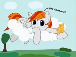 Size: 1600x1200 | Tagged: safe, artist:wzngtx, derpibooru import, oc, oc:felix gulfstream, pegasus, cloud, image, jpeg, lying down, lying on a cloud, male, on a cloud, ticket