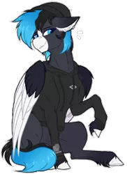 Size: 2136x2932 | Tagged: safe, artist:nocti-draws, derpibooru import, oc, oc:nocti, unofficial characters only, pegasus, pony, image, png, solo