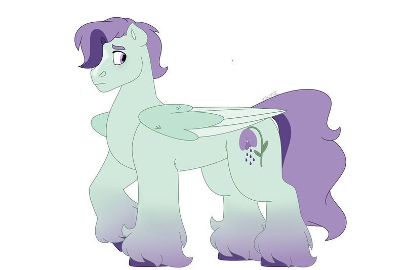 Size: 1280x854 | Tagged: safe, artist:itstechtock, derpibooru import, oc, oc:mistflower, pegasus, pony, image, jpeg, male, parent:ivy vine, parent:november rain, simple background, solo, stallion, white background