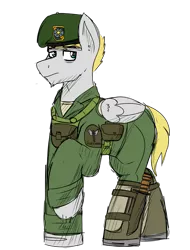 Size: 1767x2322 | Tagged: safe, artist:coatieyay, derpibooru import, oc, pegasus, beret, clothes, green beret, hat, image, knife, male, png, simple background, transparent background, uniform, vietnam war