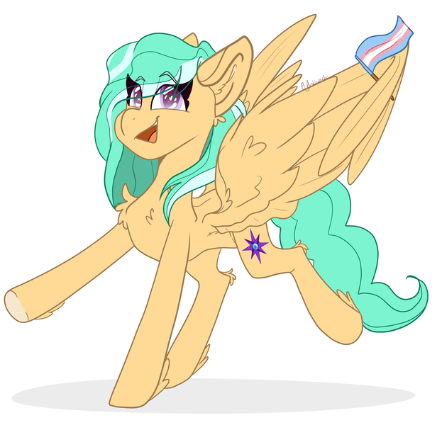 Size: 4478x4314 | Tagged: safe, artist:tizhonolulu, derpibooru import, oc, oc:mango foalix, pegasus, pony, flag, image, png, solo