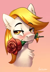 Size: 2000x2852 | Tagged: safe, artist:jedayskayvoker, derpibooru import, oc, oc:sparklingfire, pony, blushing, bust, cute, flower, gradient background, icon, image, looking at you, male, png, portrait, rose, solo, stallion