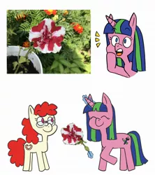 Size: 1920x2160 | Tagged: safe, artist:sveta kuklina, derpibooru import, twist, oc, oc:stretch sketch, earth pony, pony, unicorn, cropped, eyes closed, flower, gift giving, glasses, happy, image, irl, jpeg, levitation, magic, photo, simple background, surprised, telekinesis